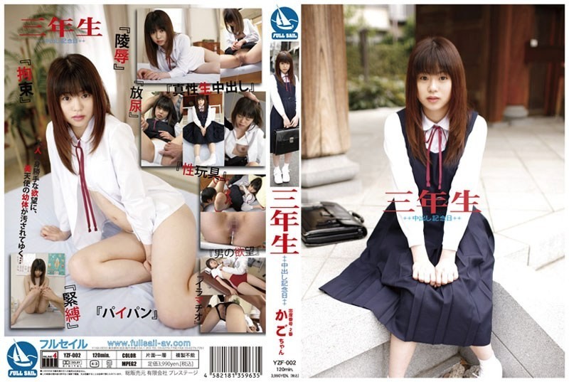 [Reducing Mosaic]YZF-002 Chan Attended Anniversary Basket No. 2 Grade Three Pies