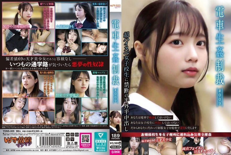 [Reducing Mosaic]YDNS-009 Train Re Punishment #009